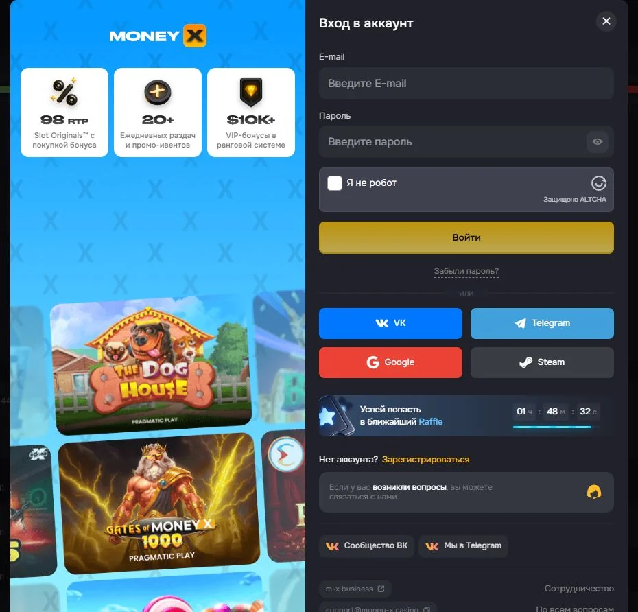 Скриншот Money X — forma vhoda